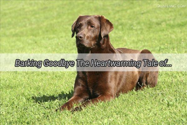 Barking Goodbye The Heartwarming Tale of a LoyaltyStricken Dogs Melancholic Farewell